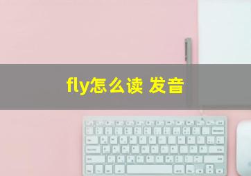 fly怎么读 发音